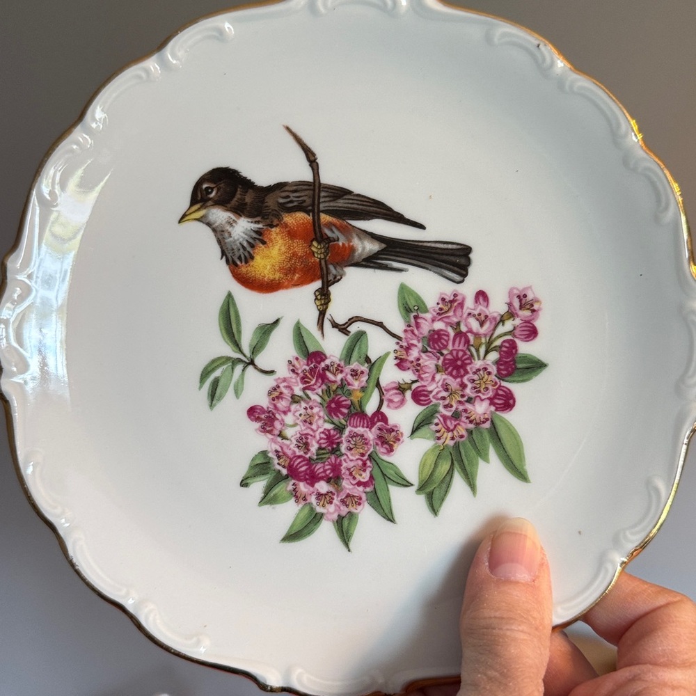 Human Arzberg Bavana Germany Plate